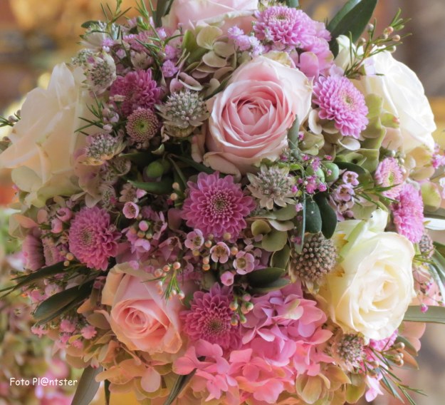 IMG_0283 - kopie - kopie