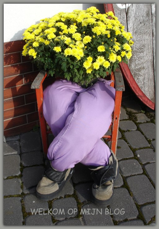 Voel je vrij, wees welkom op mijn blog