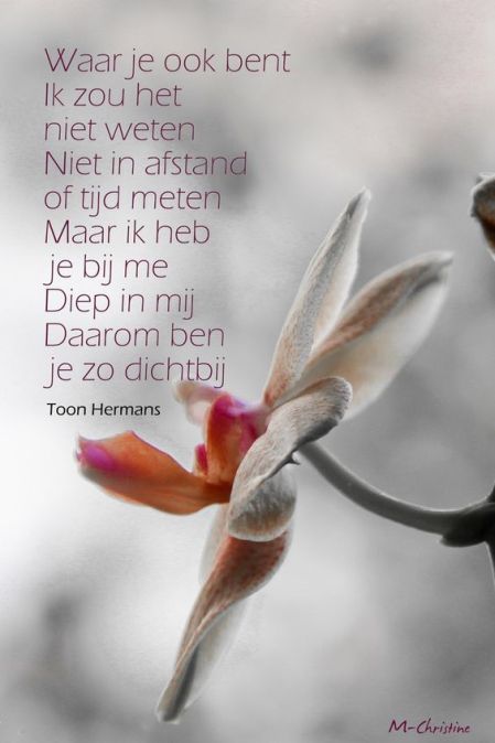 a42c4611309d27ecff3056874cd6799d