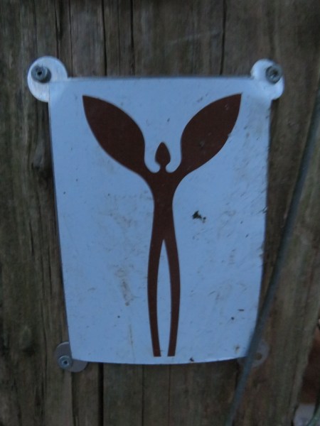 Engel