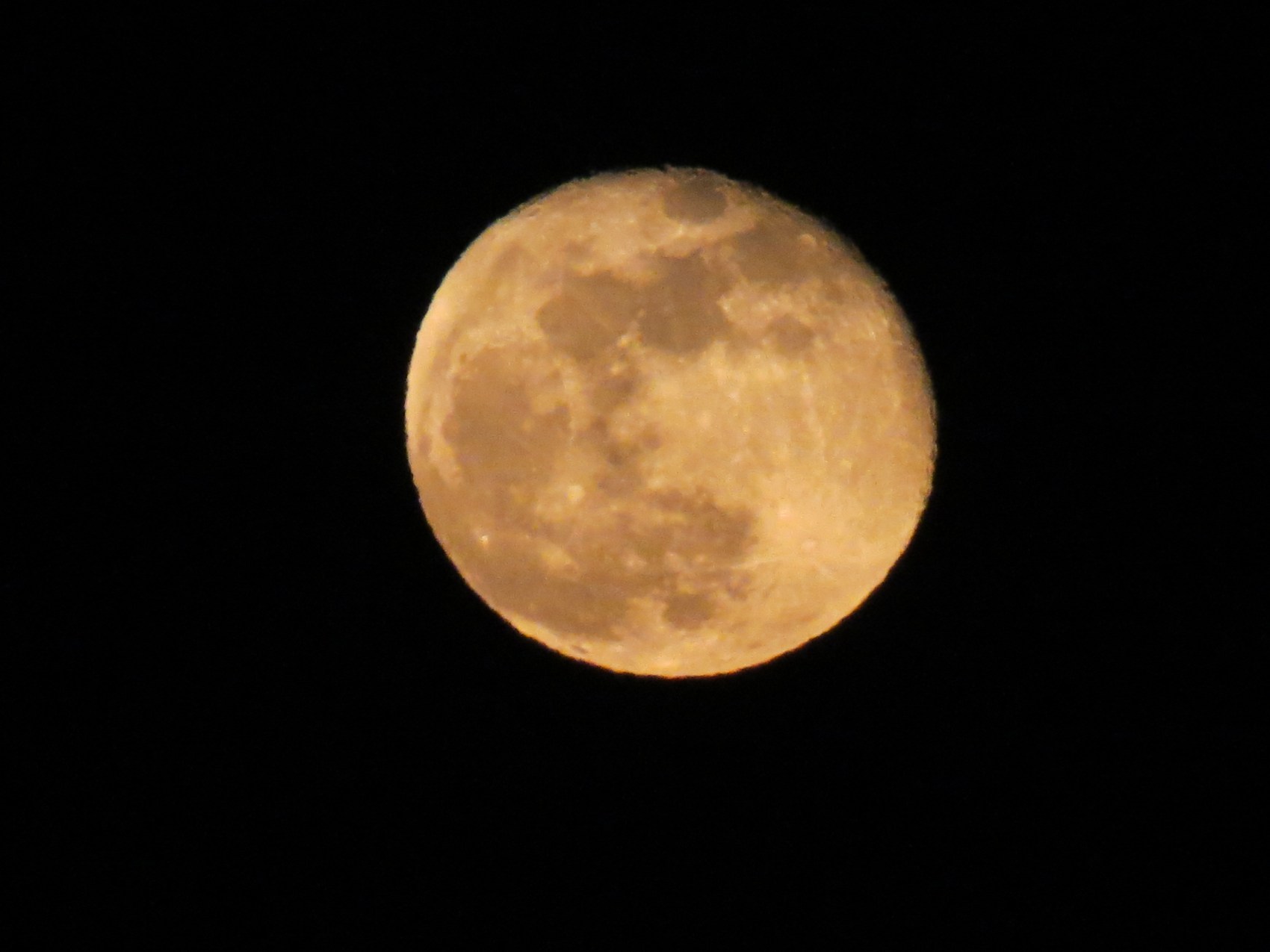 img_6497