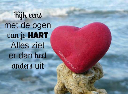 Afbeeldingsresultaat voor Leer eens kijken met de ogen van je hart en niet met de ogen in je hoofd