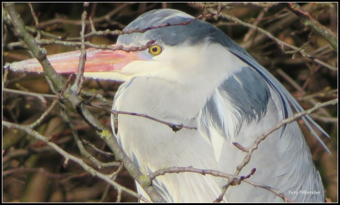 IMG_8104 - kopie - kopie