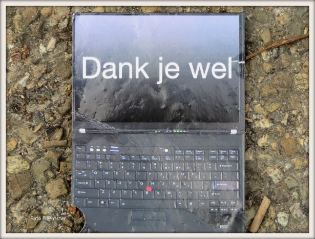 IMG_8538 - kopie.JPG