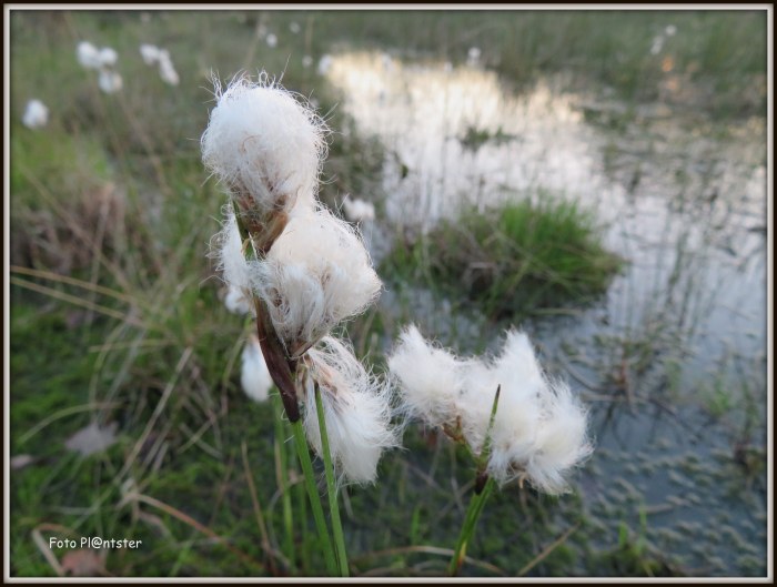 IMG_5088 - kopie - kopie