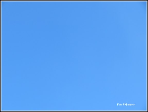 IMG_6922 - kopie.JPG