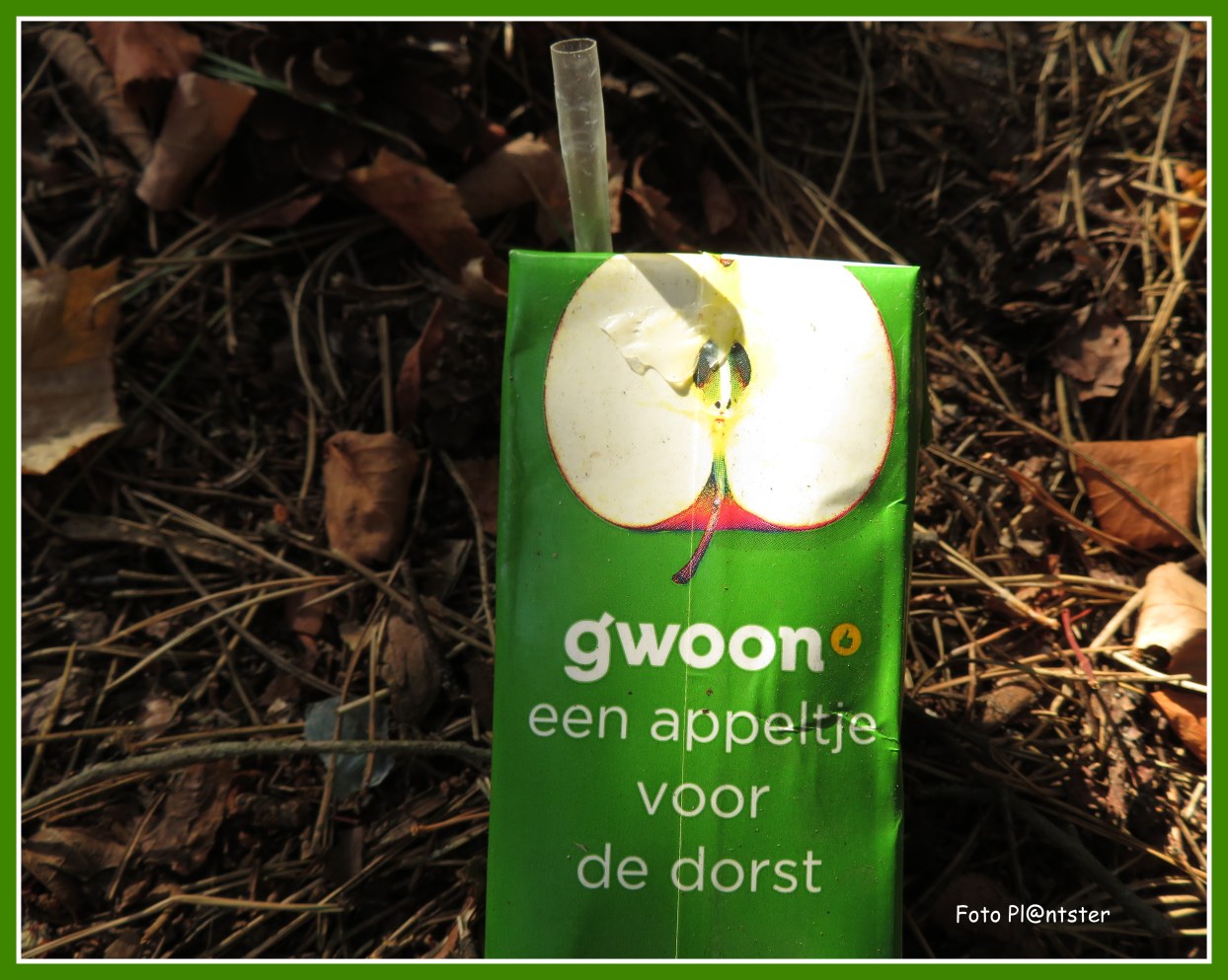 Appeltje | Groene Vingers