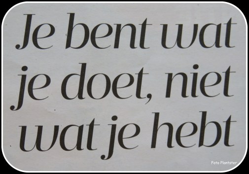 IMG_8134 - kopie.JPG