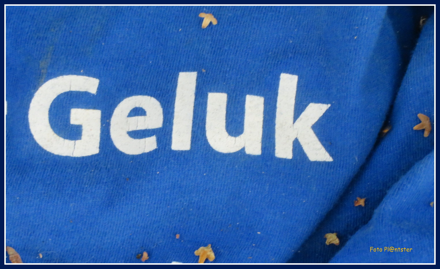 Met of zonder geluk | Groene Vingers
