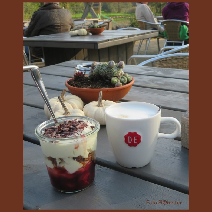 IMG_0319 Terrasje pikken.jpg