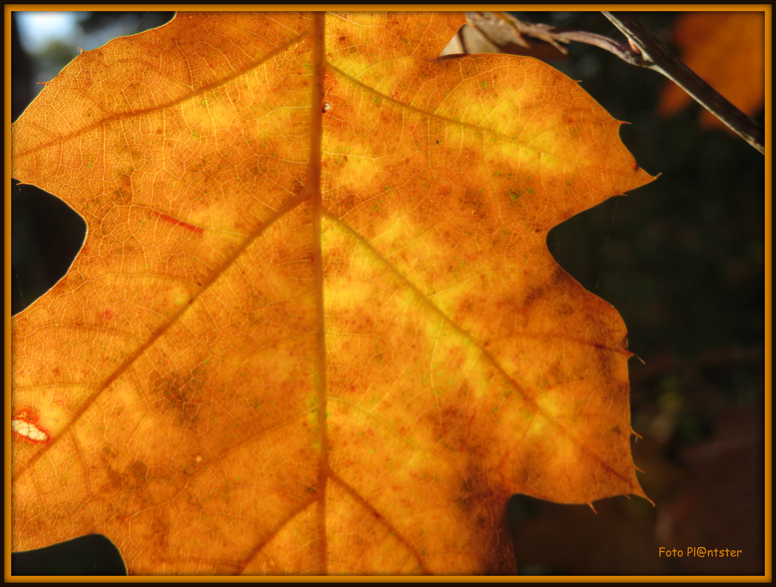 IMG_1141 In het zonnetje.jpg