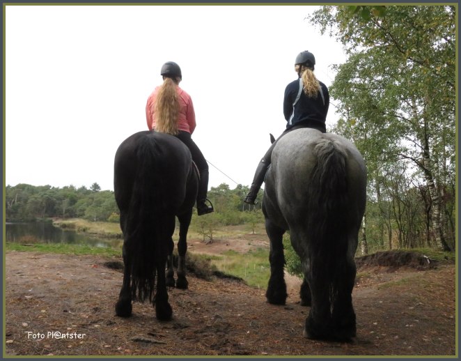 IMG_6756 Het heeft een staart