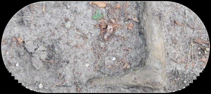 IMG_7312 Op goede voet of achter de ellenboog.jpg