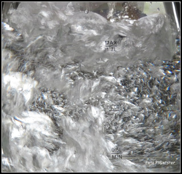 IMG_7550 Kookpunt.jpg