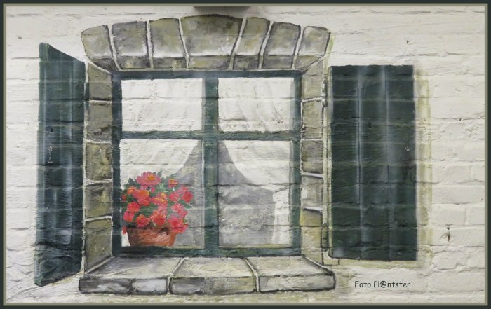 IMG_8746 Het raam.jpg