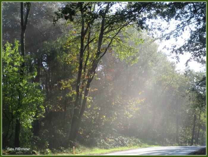 IMG_9961  Stralende dag.jpg