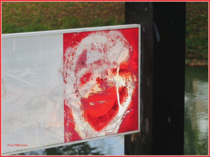 IMG_1001  Rood wit  reflecteerd.jpg