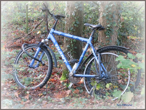 IMG_1687  Giantisch.jpg