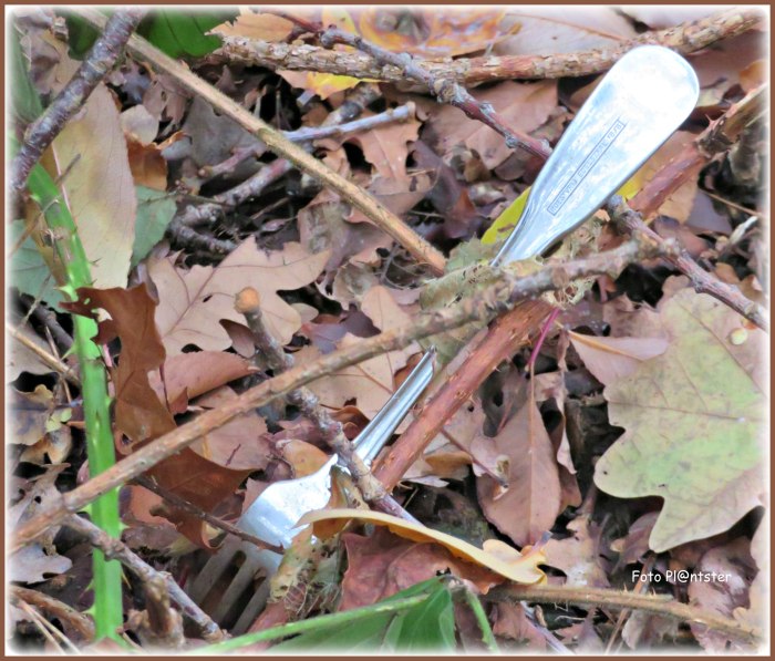 IMG_3574  Vork in de natuur.jpg