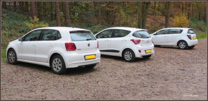 IMG_3736     Drie op een rij.jpg