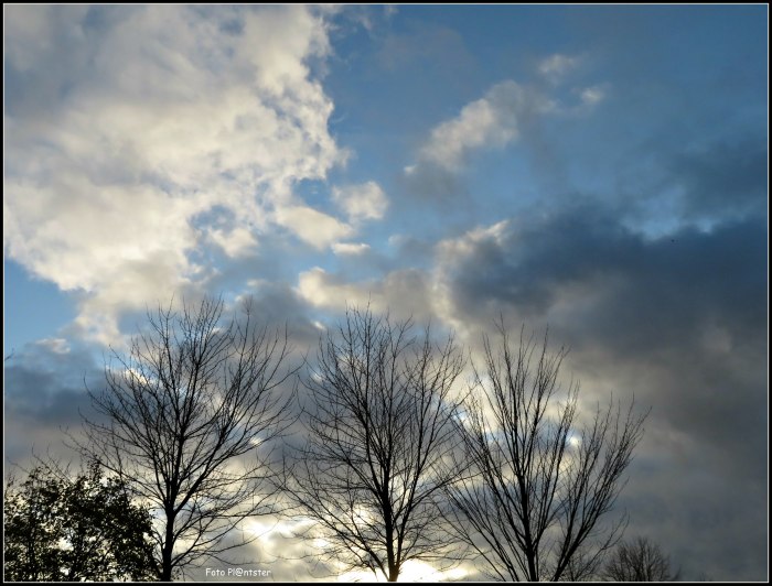 IMG_3905 Donker en licht