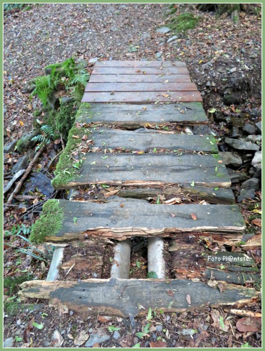 IMG_3924 Over de brug komen