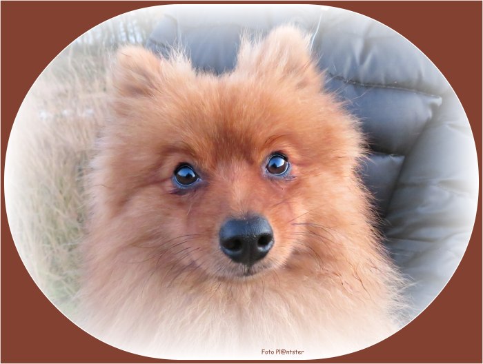 IMG_4002    In de poppetjes van je ogen.jpg