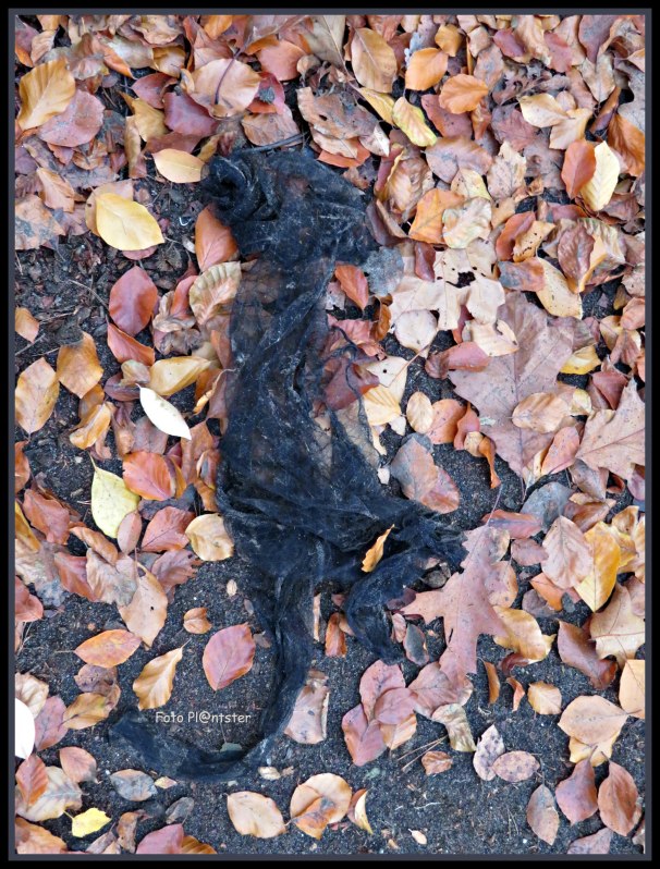 Zwarte sjaal als zwarte kat.jpg