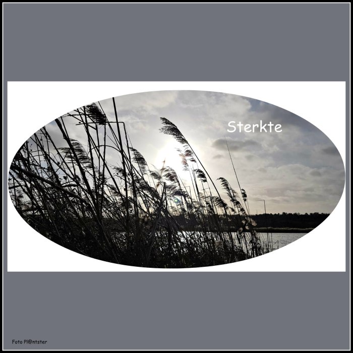 IMG-20191214-WA0006      Sterkte.jpg