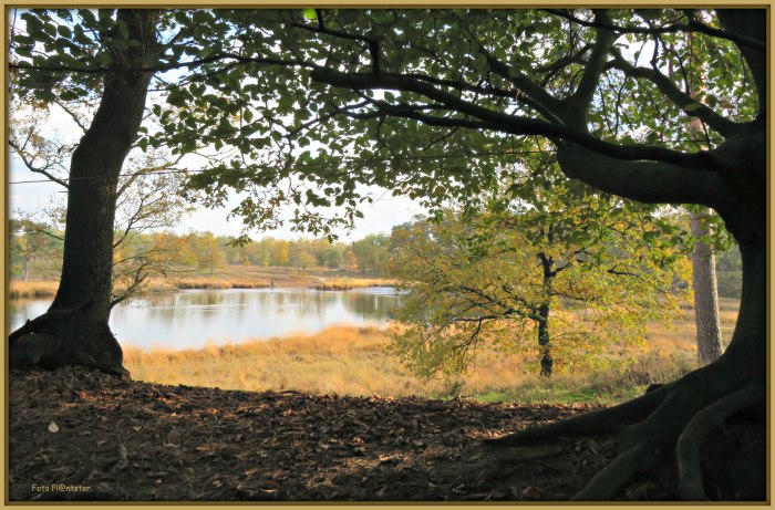 In de schaduw van de herfst