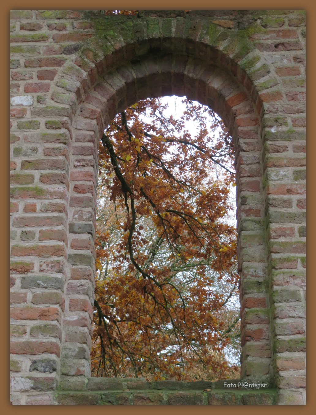 IMG_3797   Een met buiten.jpg