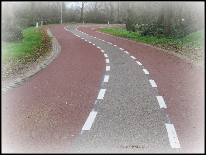 IMG_4909Nieuw wegdek.jpg