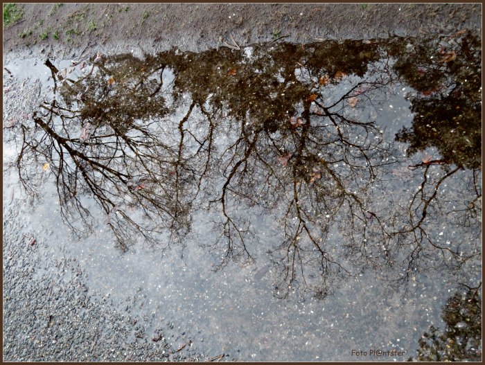 IMG_5126   Plas water.jpg