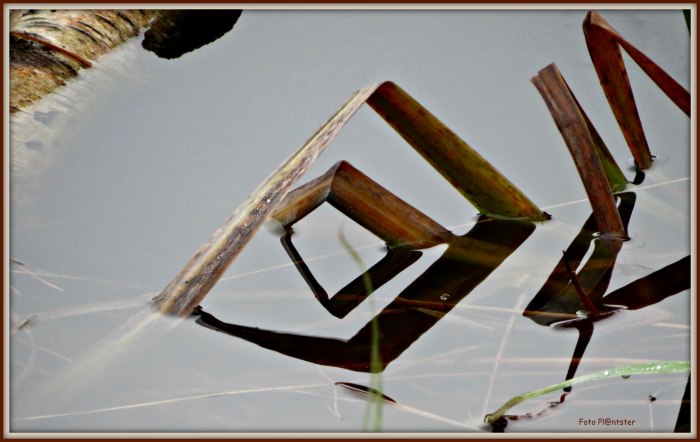 IMG_5377 Gebogen en geknakt