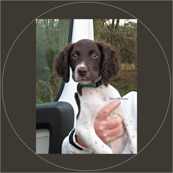 IMG_5626    Schattig om te zien.jpg