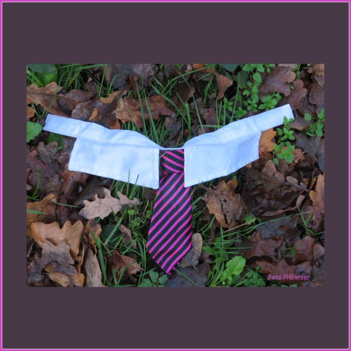 IMG_6712 Stropdasje.jpg