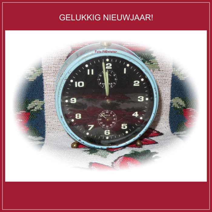 IMG_7524    Gelukkig Nieuwjaar!.jpg