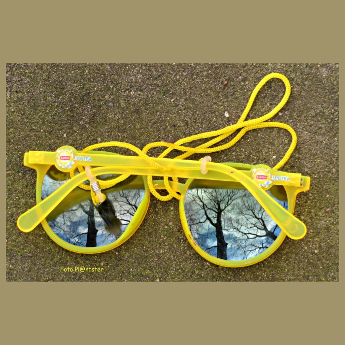 IMG_0184 Zonnig inzien