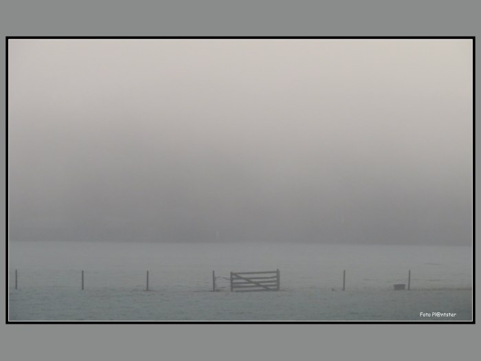 IMG_0397 Mistig grijze dag