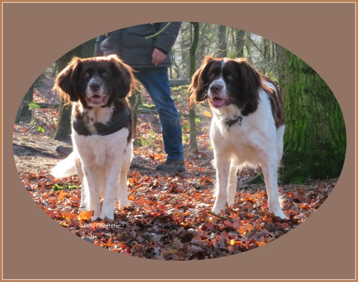 IMG_9768 De een is jonger ,de ander is ouder