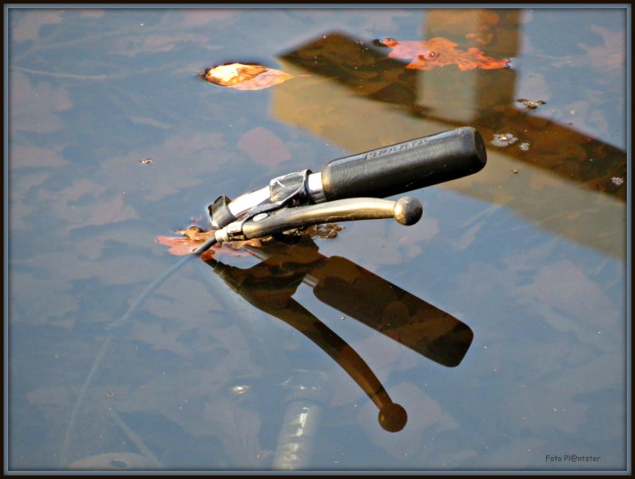 IMG_9808 Fiets in het water