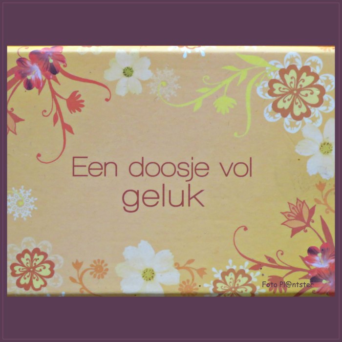 IMG_1919 Dosis geluk