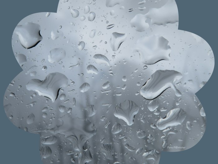 IMG_2565 Regendruppels autoraam