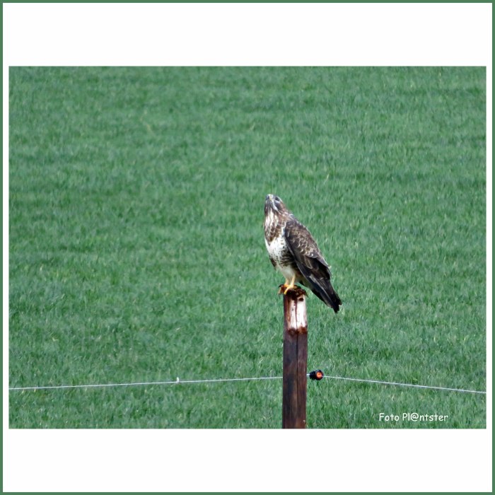 IMG_5282 Kijkje omhoog