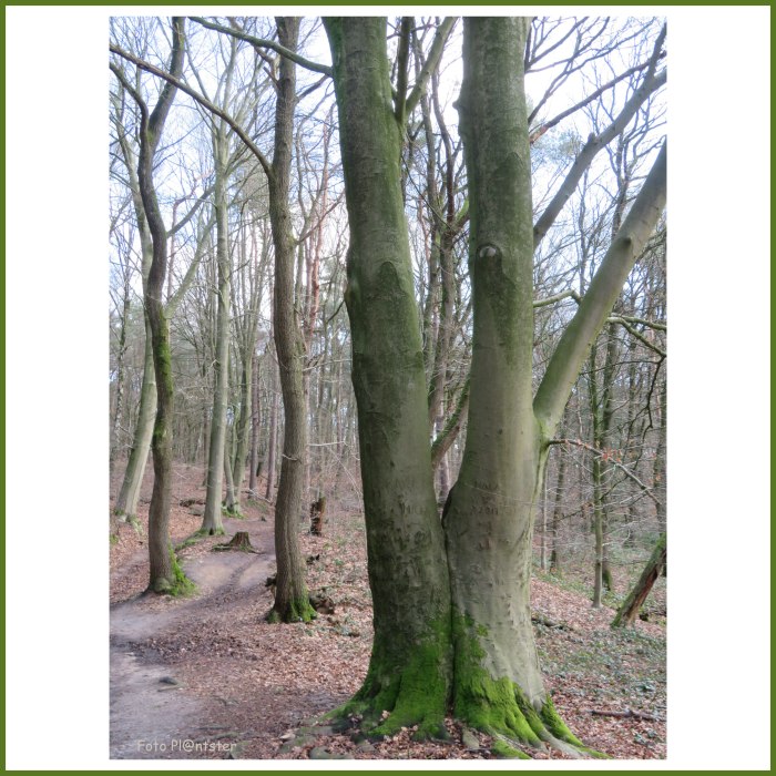 IMG_5529 Vriendschap