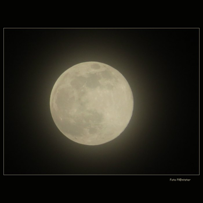 IMG_5957 Volle Maan 9-3-2020