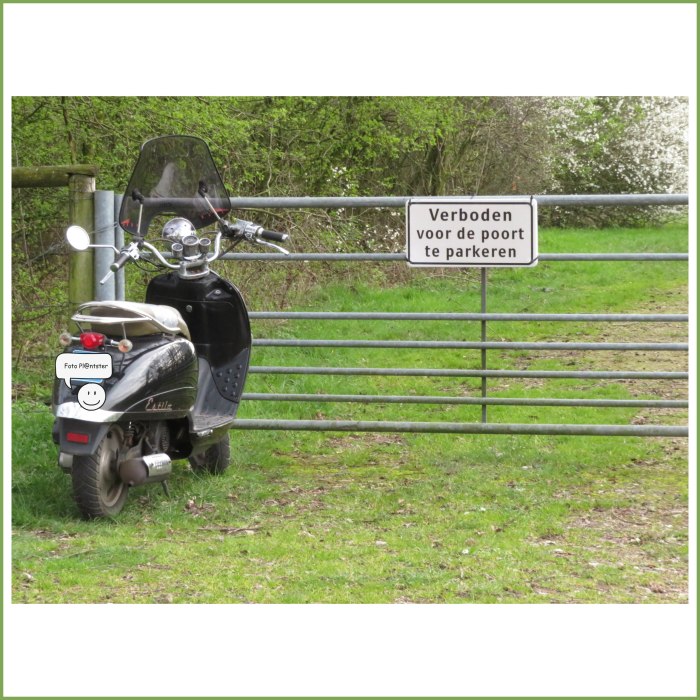 IMG_6835 Verboden te plaatsen