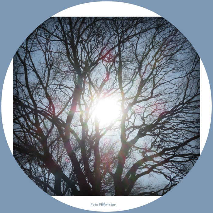 IMG_7234 Met het zonnetje in het hart