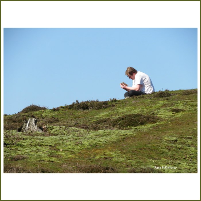 IMG_7782 In je eentje