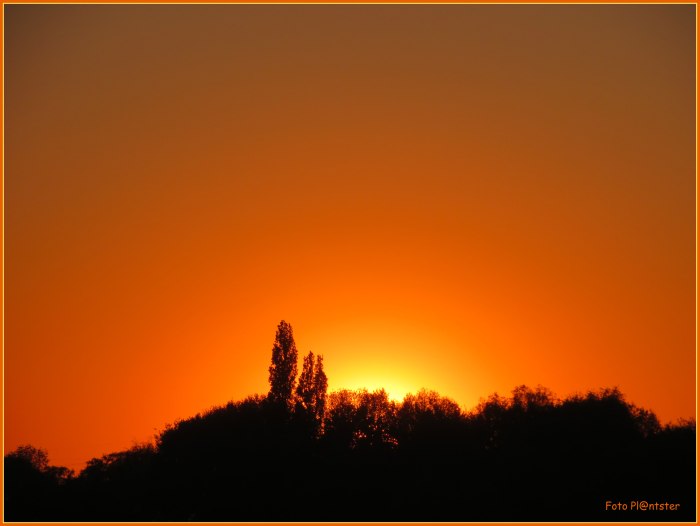 IMG_0554 In het rood